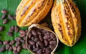 Agricultural Consultancy Services and Farm Supplies
