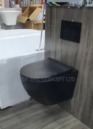 Black Council Seat