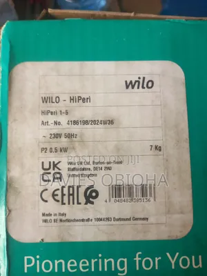 0.75hp Wilo Surface Pump