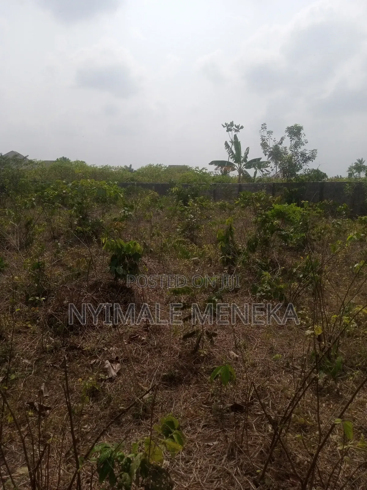 Fenced One Plot