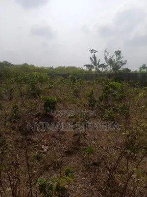 Fenced One Plot