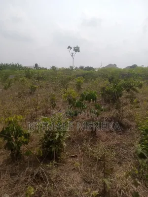 Fenced One Plot
