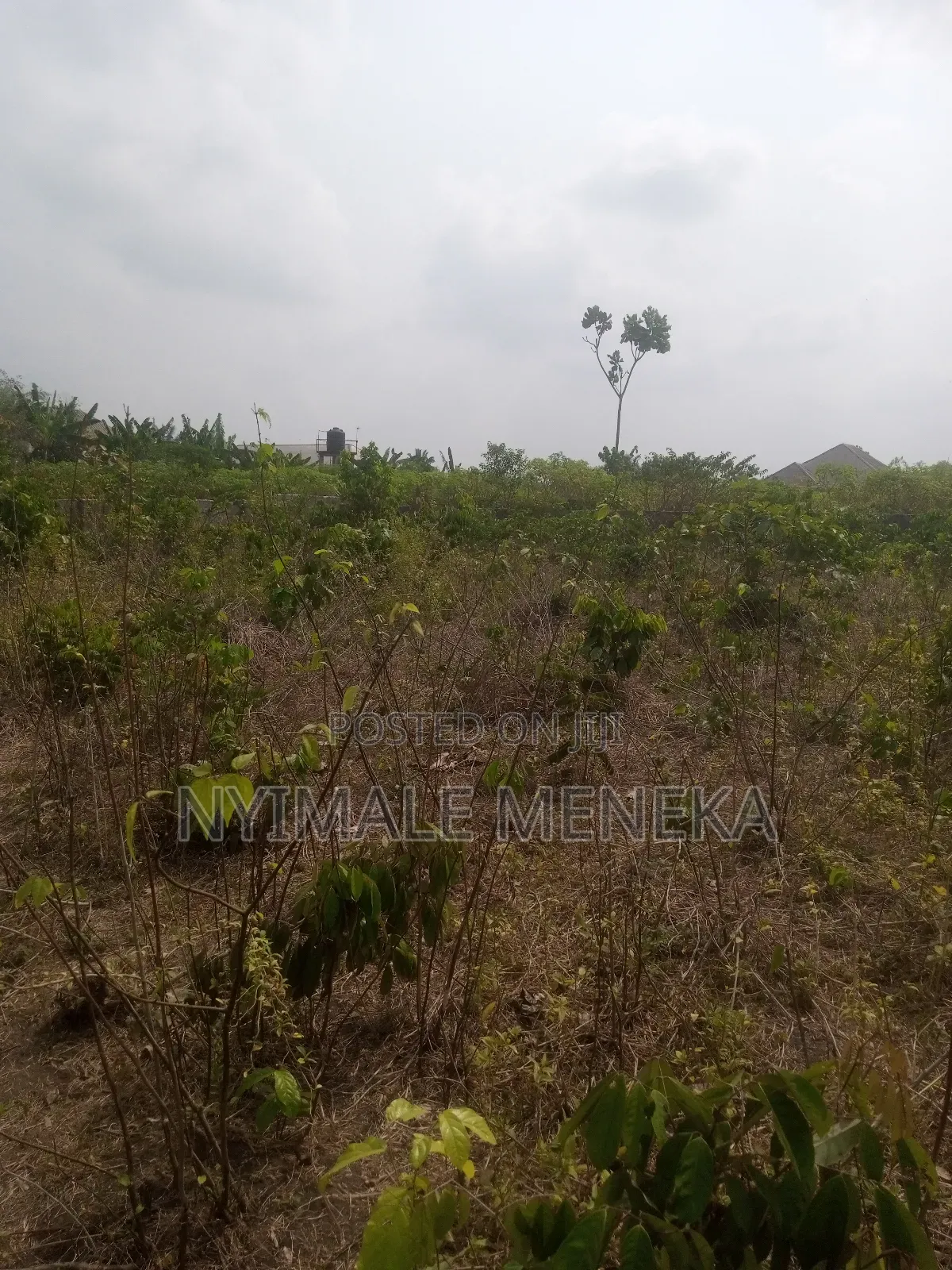 Fenced One Plot