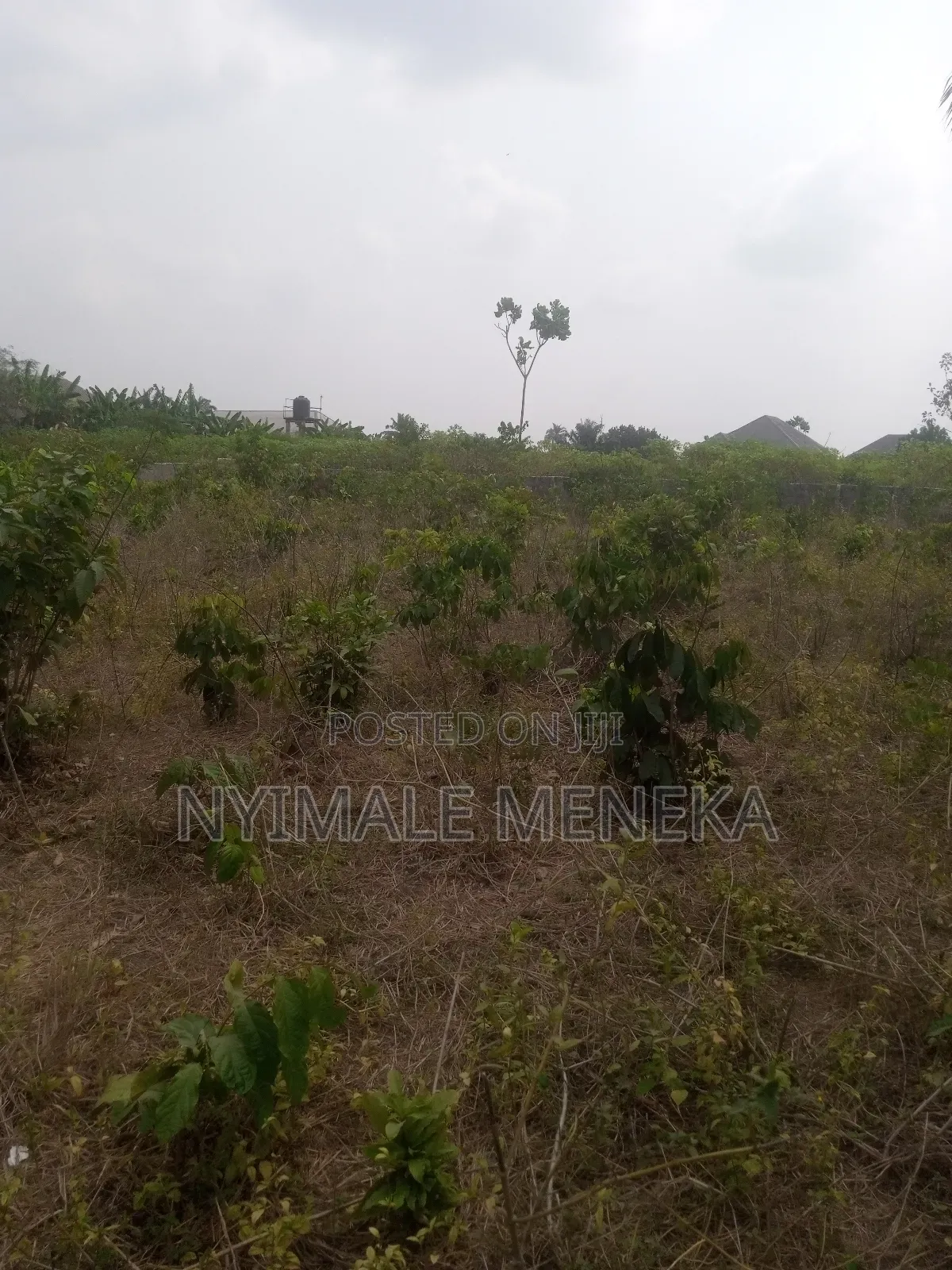 Fenced One Plot