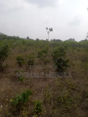Fenced One Plot