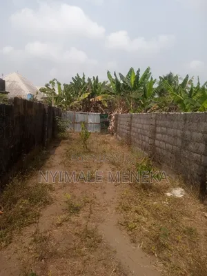 Fenced One Plot