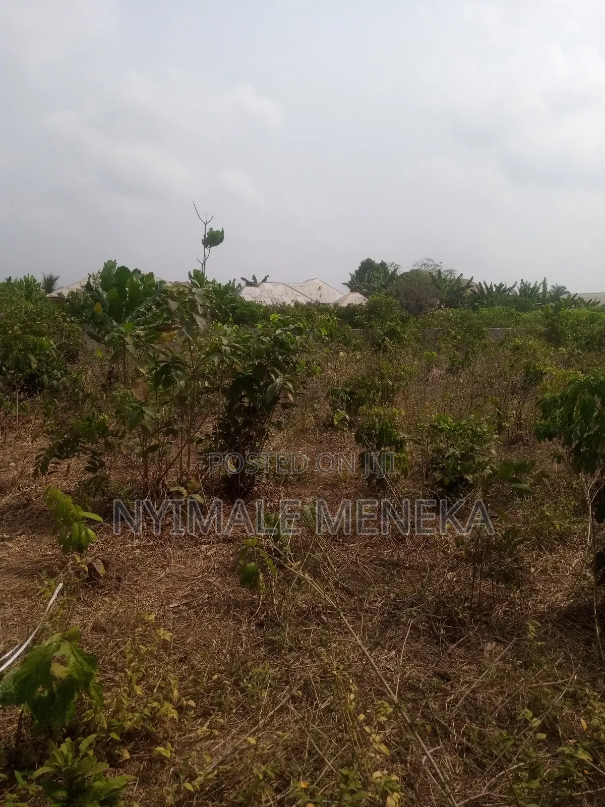 Fenced One Plot