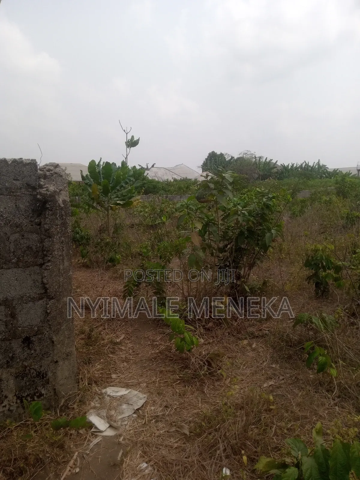 Fenced One Plot