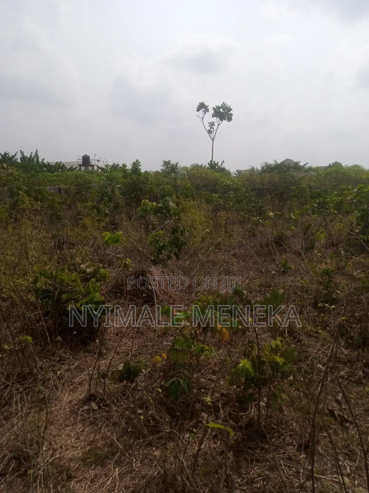 Fenced One Plot
