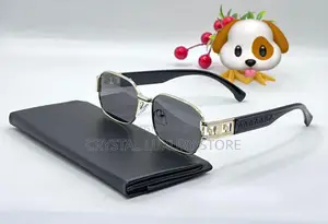 Versace Quality Men Sunglasses