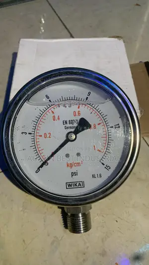 Industrial Pressure Gauge, 0 to 1 Bar