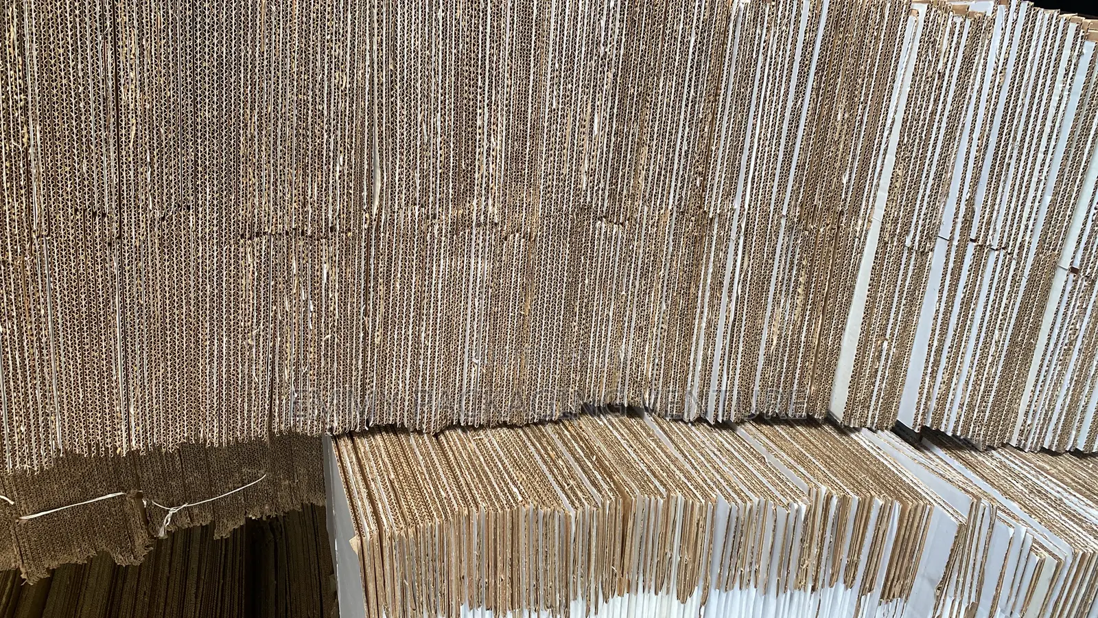 Carton Business/Printing
