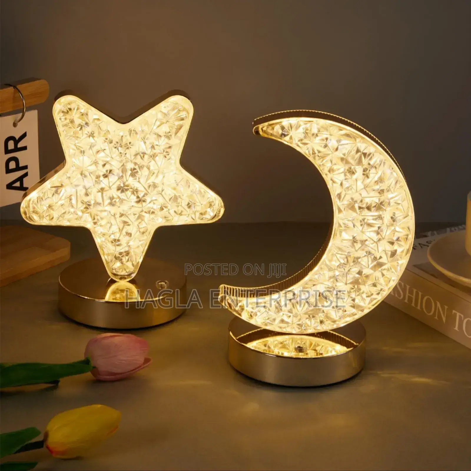 Sky Moon and Star Decorator