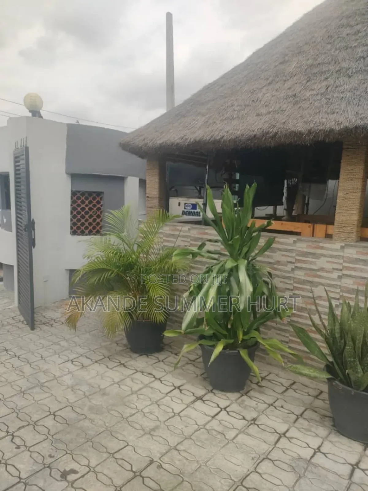 Edo Bush Bar