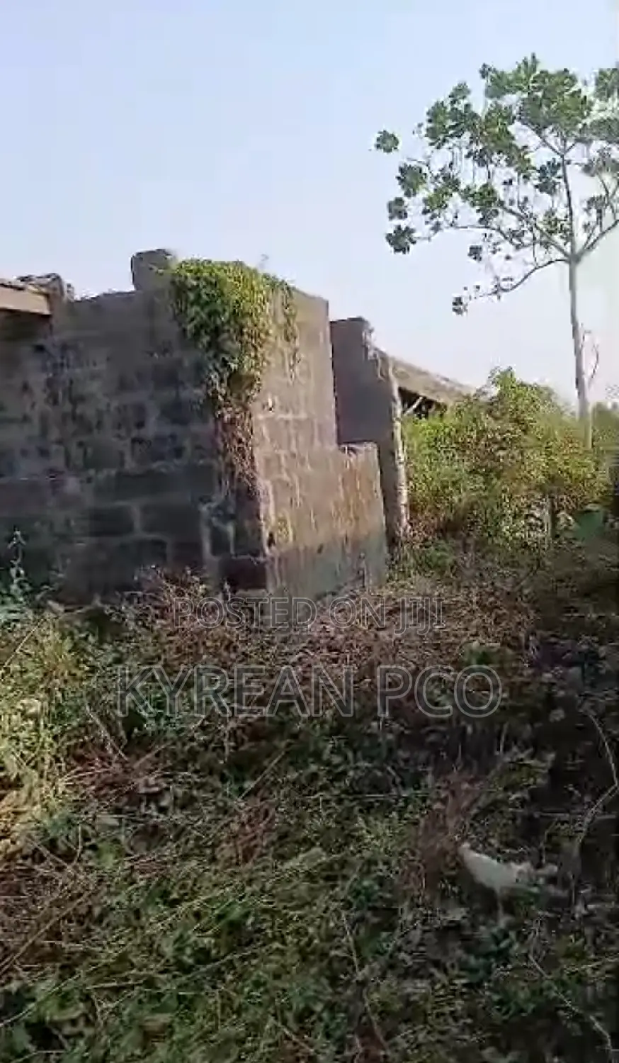 Full Plot With Structure