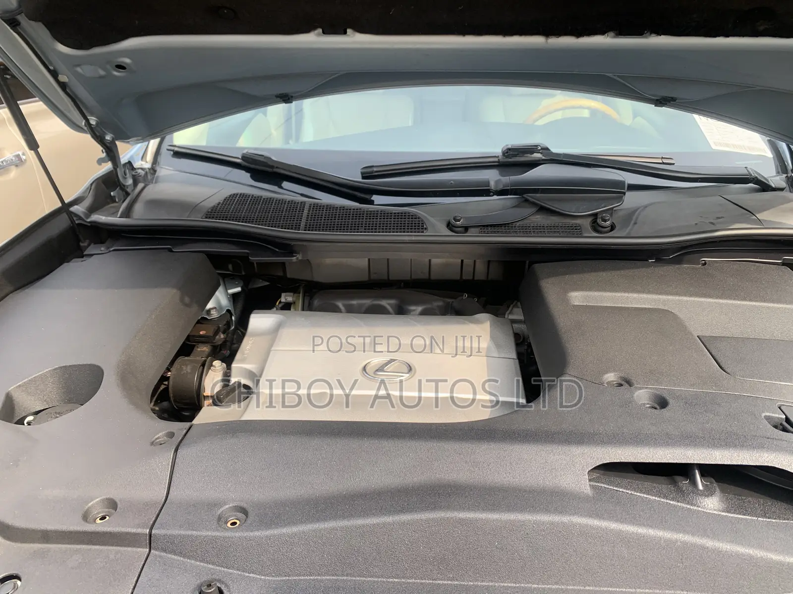 Lexus RX 2010 Blue