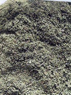 Nettle Seed 100g (Urtica Dioica)