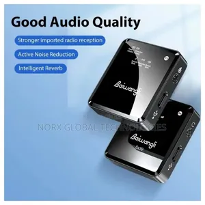 Baiwangli Wireless Microphone Sx39