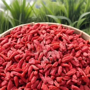 250gram Red Chinese Wolfberry