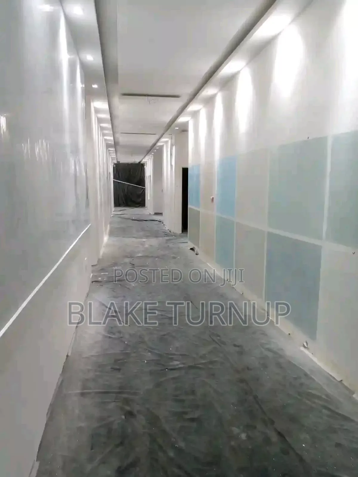 Professional Painter Abuja