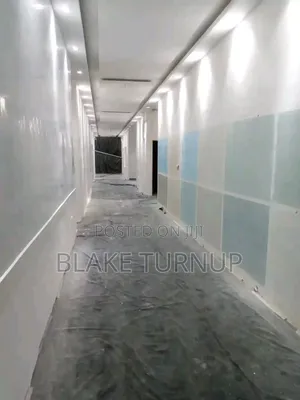 Professional Painter Abuja