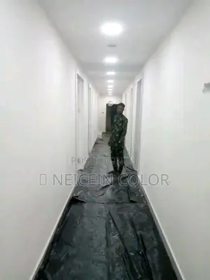 Professional Painter Abuja