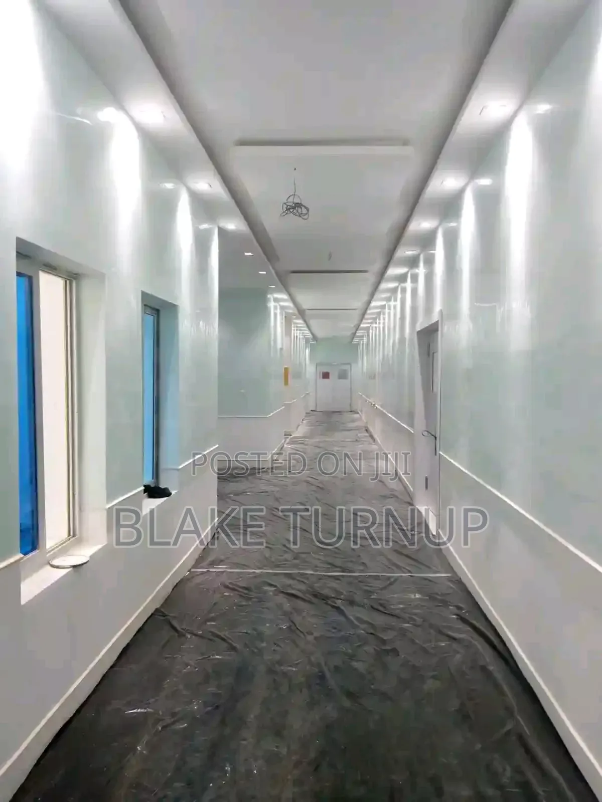 Professional Painter Abuja