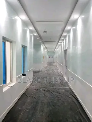 Professional Painter Abuja