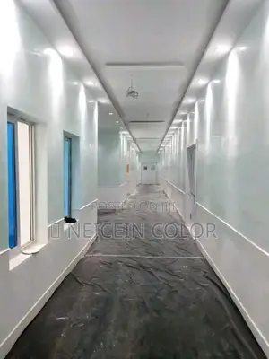 Professional Painter Abuja