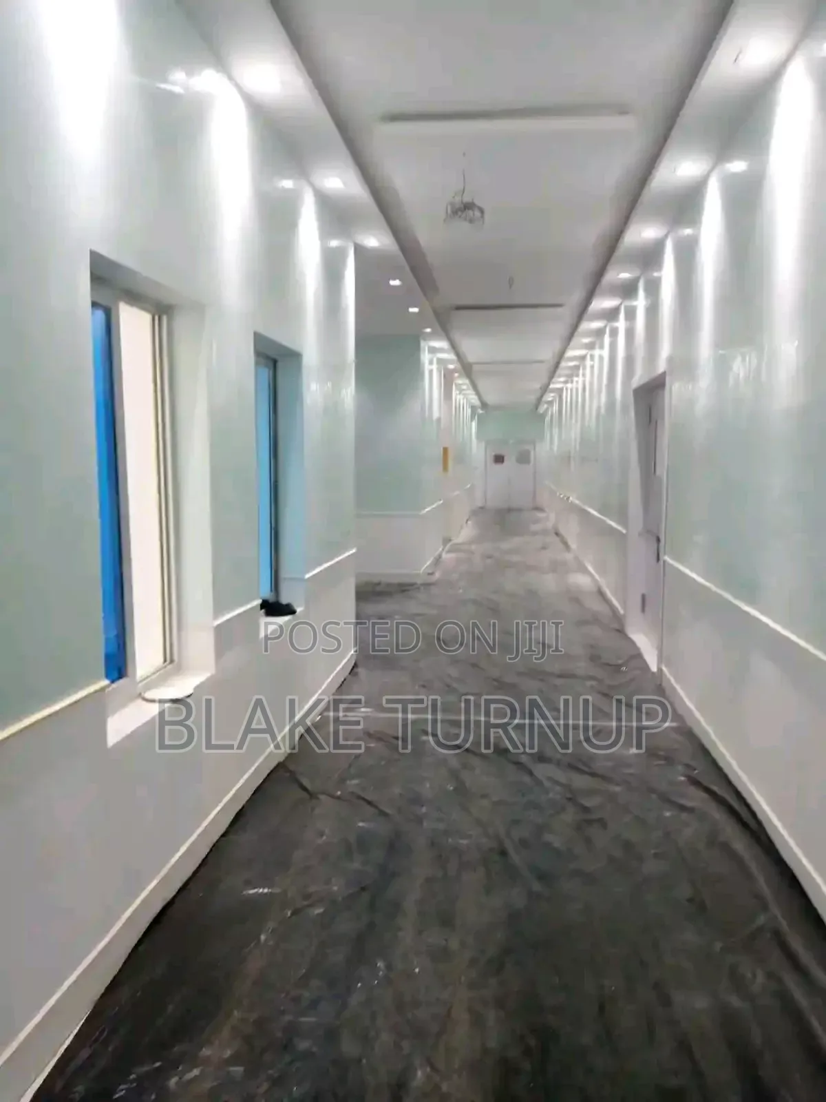 Professional Painter Abuja