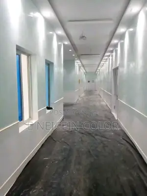 Professional Painter Abuja