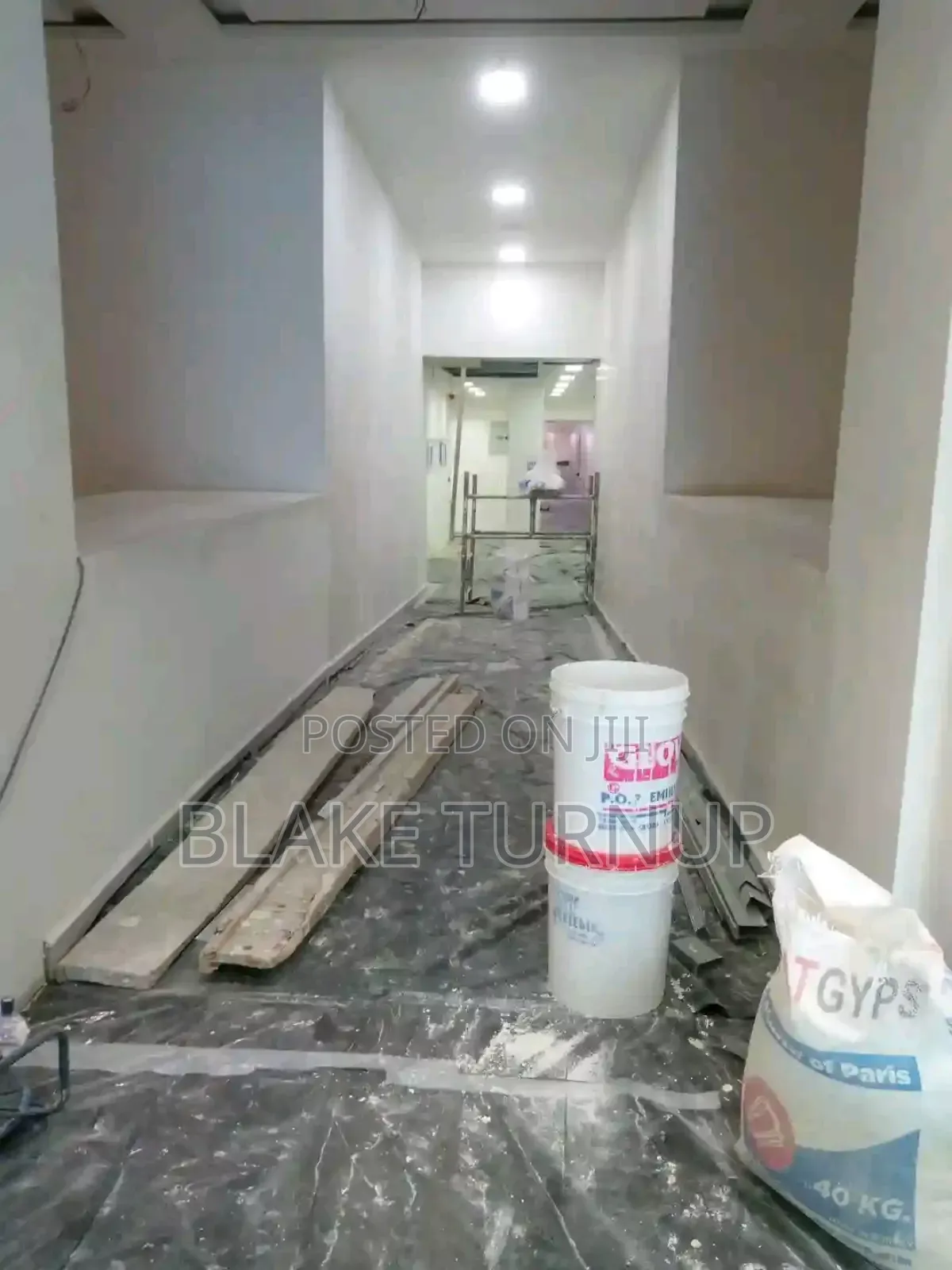 Professional Painter Abuja