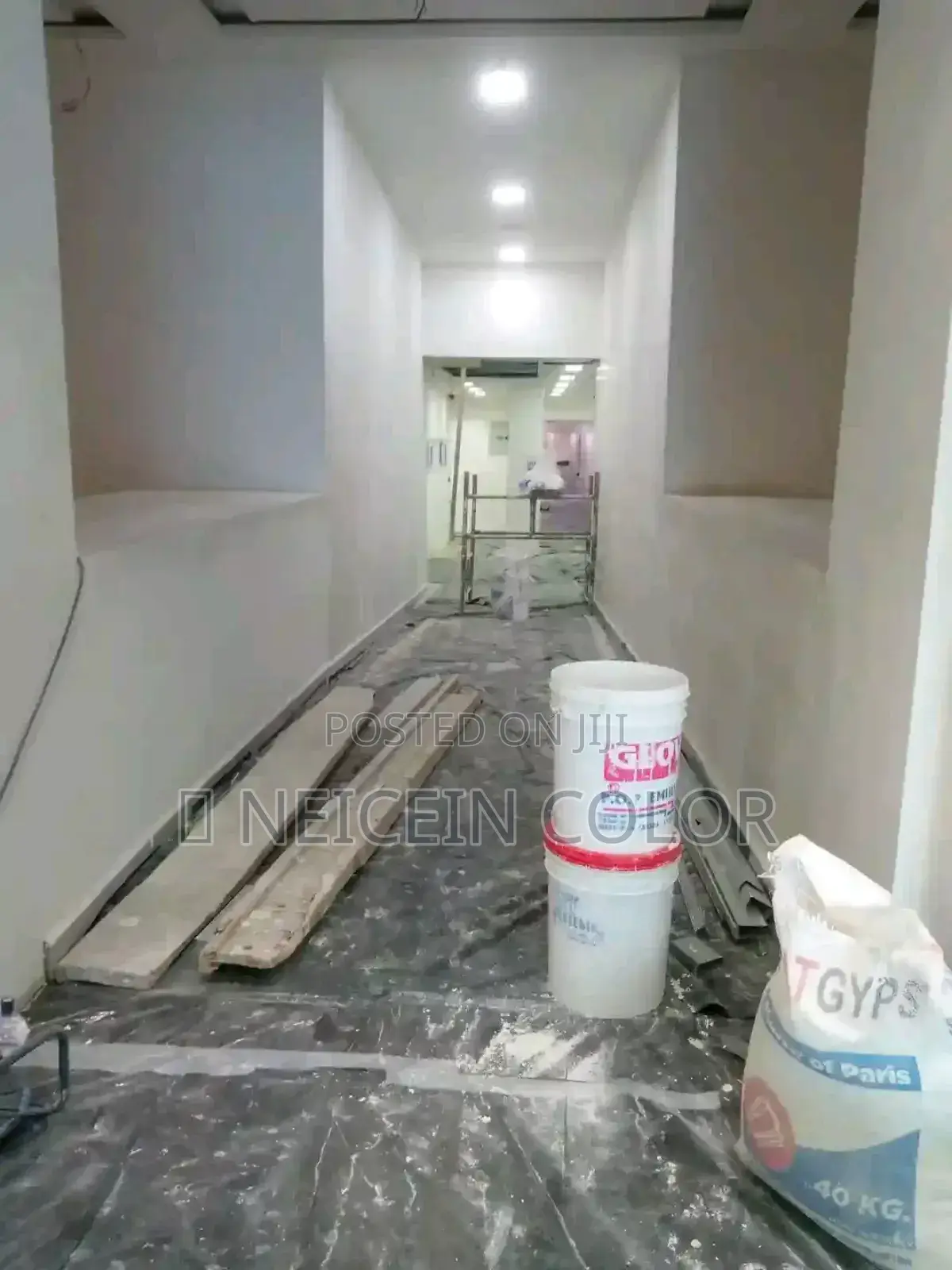 Professional Painter Abuja
