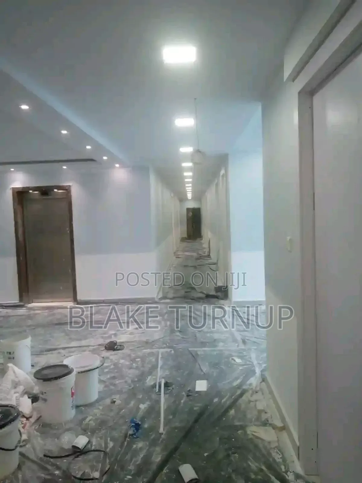Professional Painter Abuja