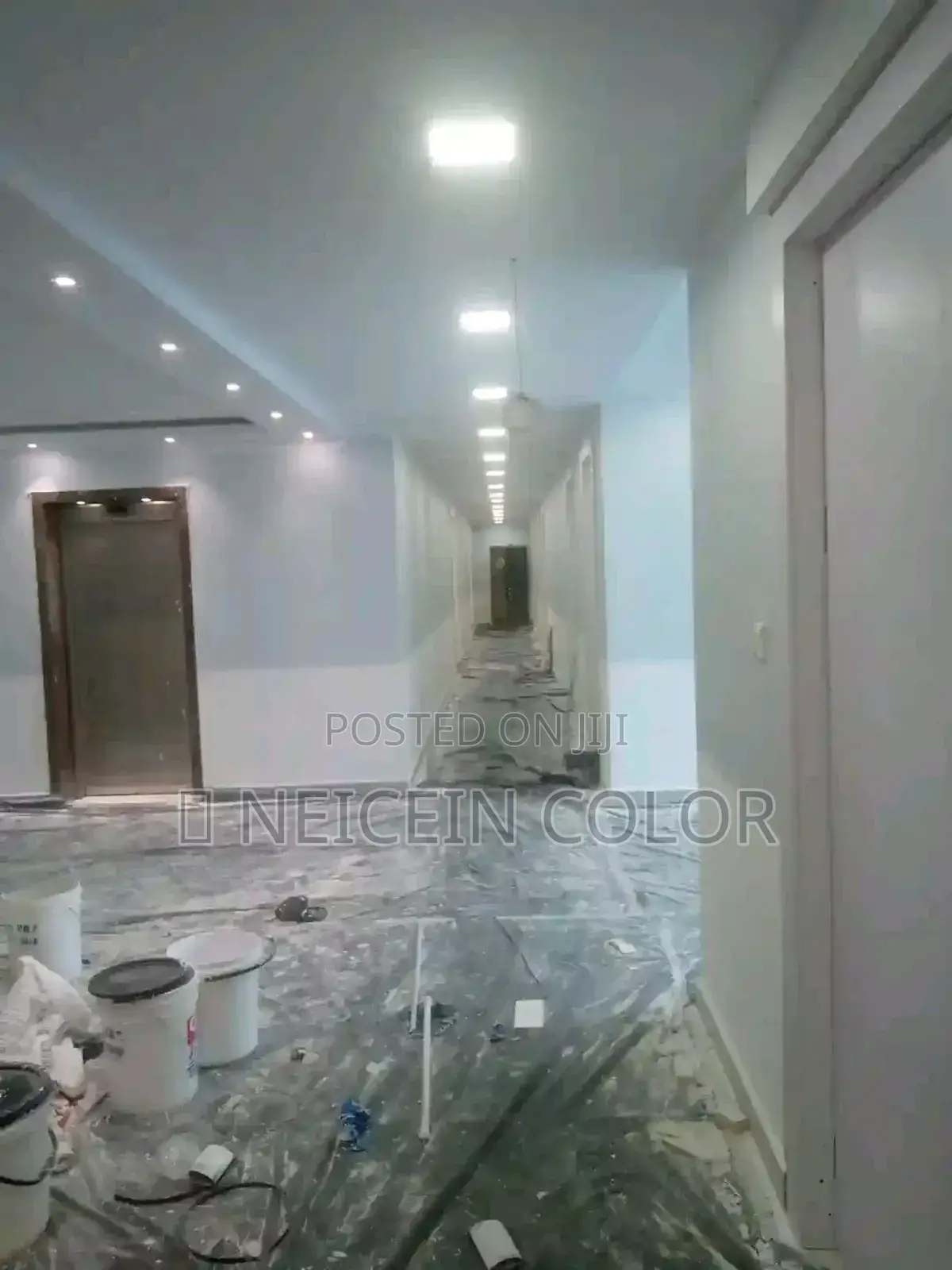Professional Painter Abuja