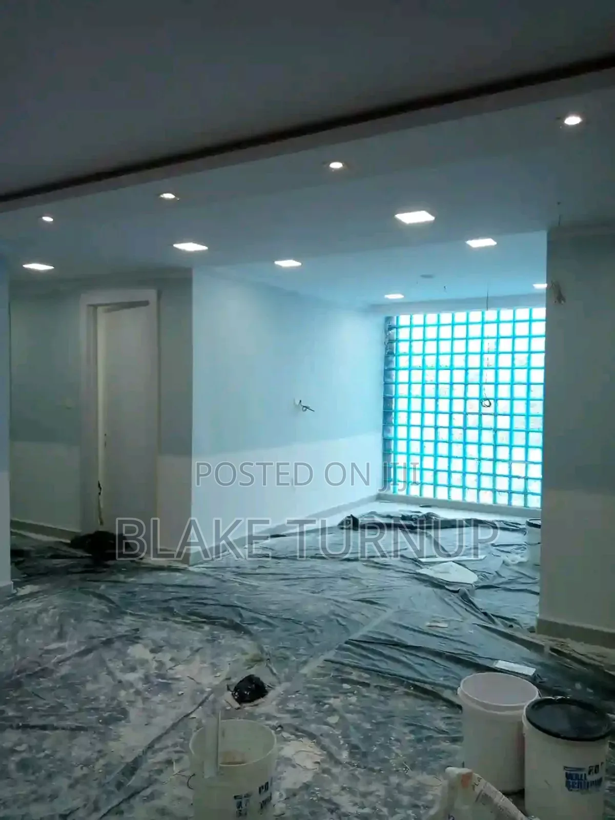 Professional Painter Abuja