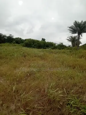 Land and Plot