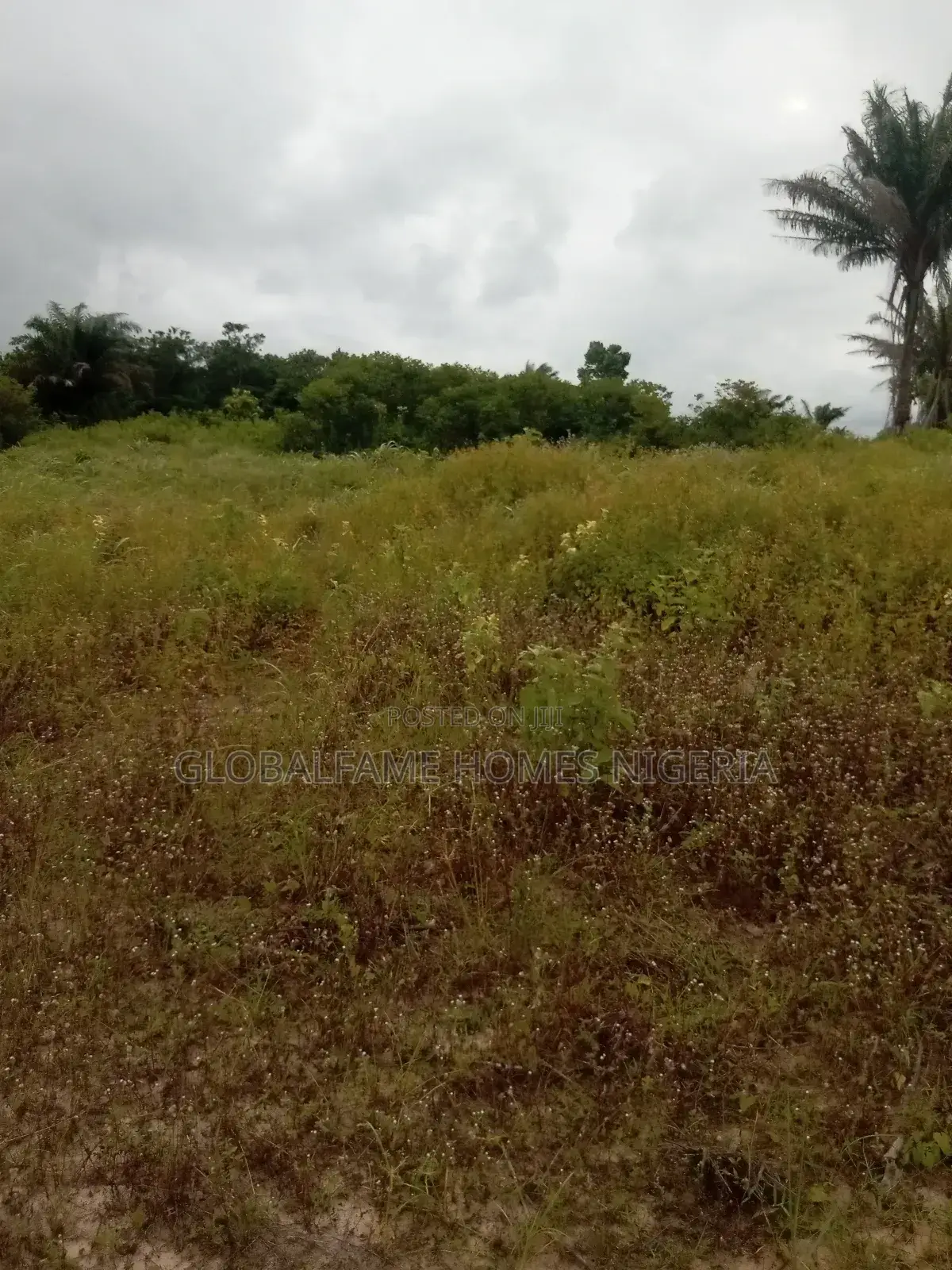 Land and Plot