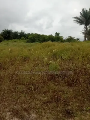 Land and Plot