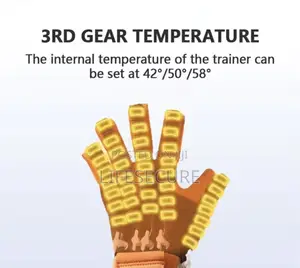 Stroke Rehabilitation Glove (Hand Heating, Voice, Timer, Intensity)