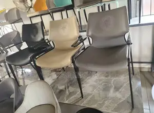 Dinning Chairs (Versace)