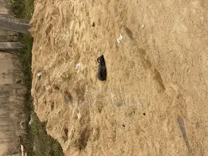 Sharp Sand
