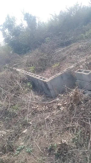 60ft by 120ft Full Plot at Bustop Ijegun Festac Link
