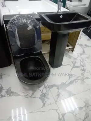 Black Toilet Seats With Basin