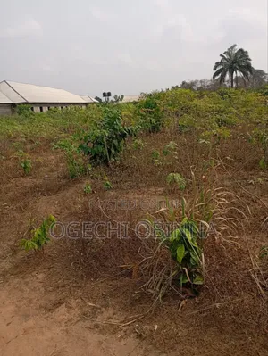 Distress Buy Build Genuine 20 Plots 4 Sale at Abara Etche