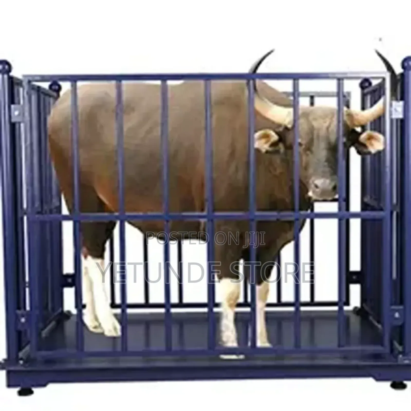 Cattle Weighing Scale (3 Tonnes Capacity )
