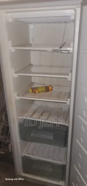 Eurosonice Standing Freezer
