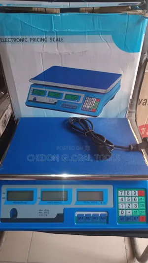 Electronic Pricing Scale