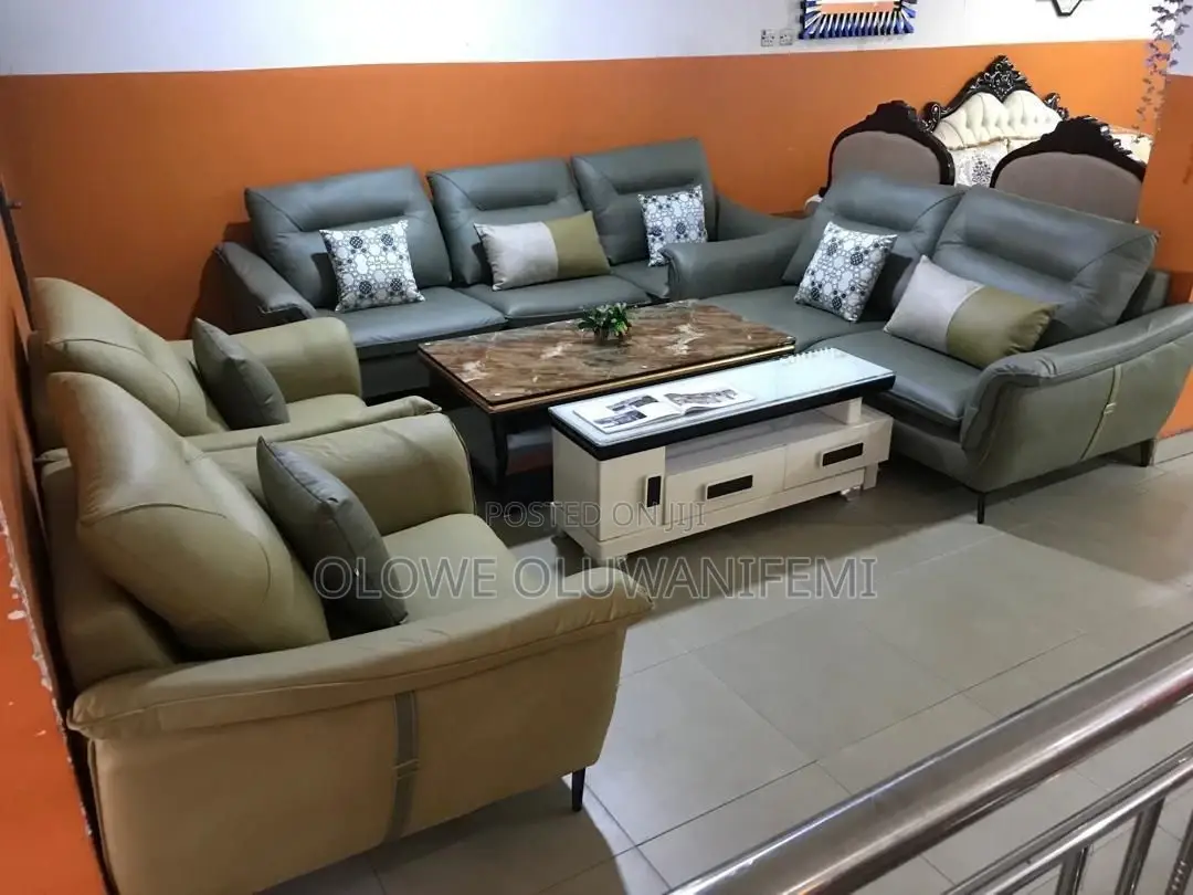 Imported Leather Contemporary Sofa