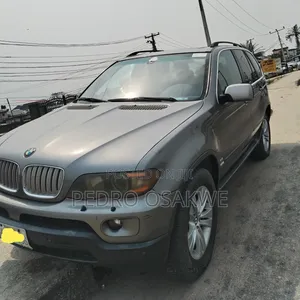 BMW X5 4.4i Steptronic 2006 Brown